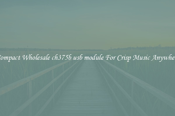 Compact Wholesale ch375b usb module For Crisp Music Anywhere