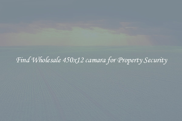 Find Wholesale 450x12 camara for Property Security
