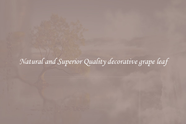 Natural and Superior Quality decorative grape leaf