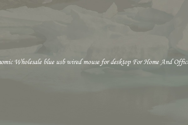 Ergonomic Wholesale blue usb wired mouse for desktop For Home And Office Use.