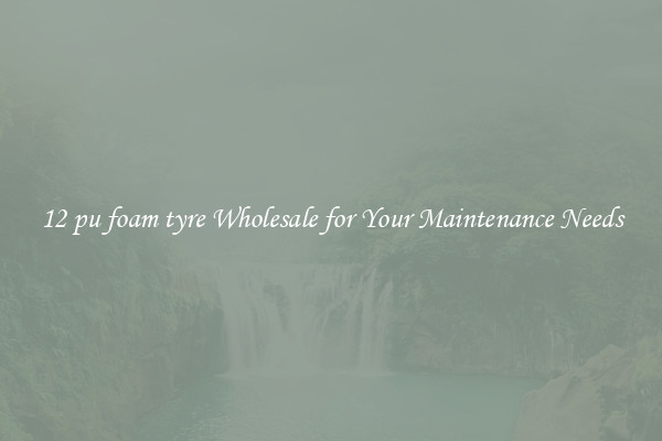 12 pu foam tyre Wholesale for Your Maintenance Needs