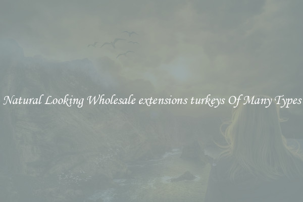 Natural Looking Wholesale extensions turkeys Of Many Types