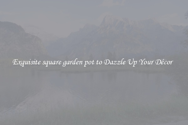 Exquisite square garden pot to Dazzle Up Your Décor  