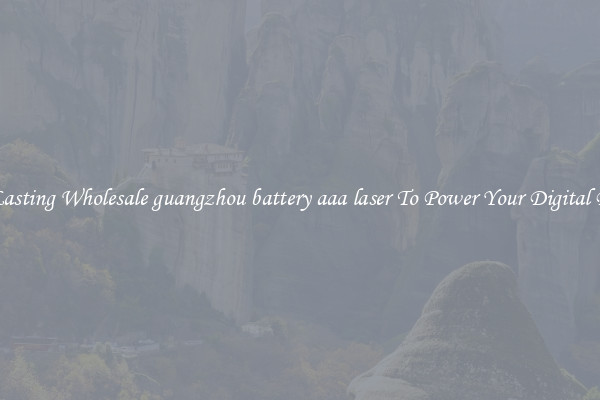 Long Lasting Wholesale guangzhou battery aaa laser To Power Your Digital Devices