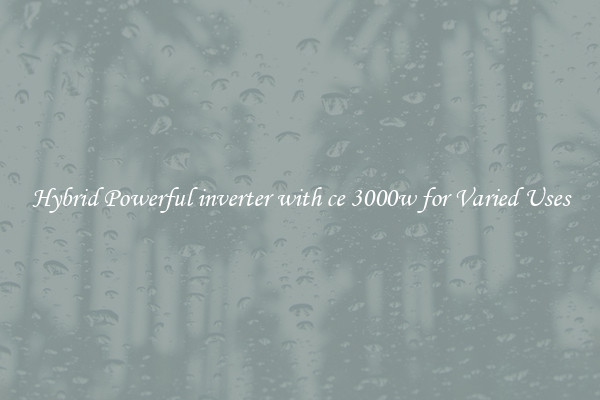 Hybrid Powerful inverter with ce 3000w for Varied Uses