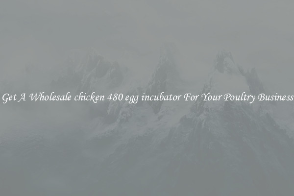 Get A Wholesale chicken 480 egg incubator For Your Poultry Business
