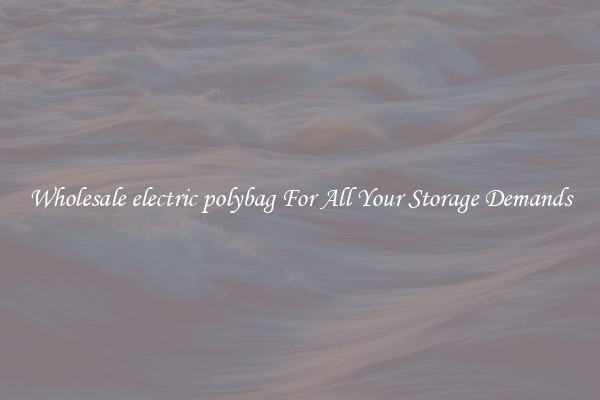 Wholesale electric polybag For All Your Storage Demands