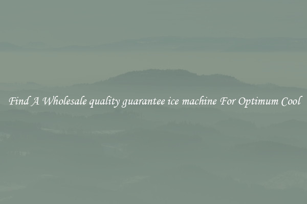 Find A Wholesale quality guarantee ice machine For Optimum Cool