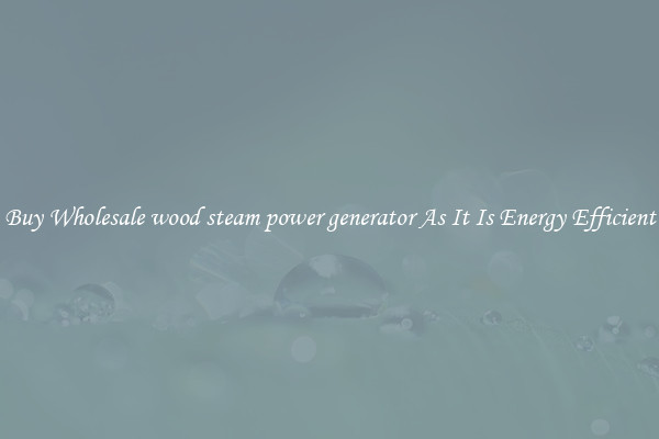 Buy Wholesale wood steam power generator As It Is Energy Efficient