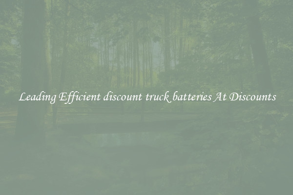 Leading Efficient discount truck batteries At Discounts