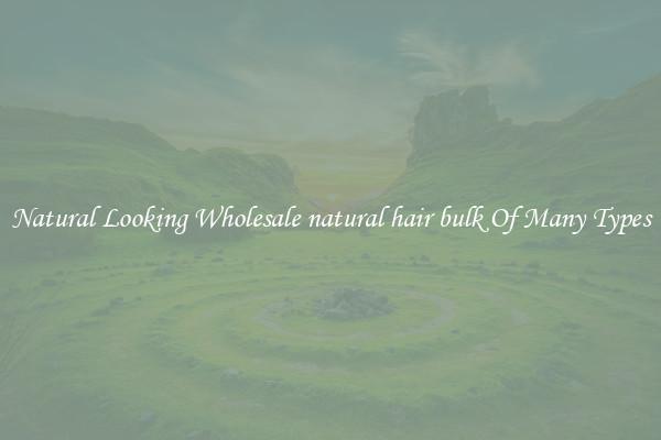 Natural Looking Wholesale natural hair bulk Of Many Types