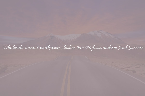Wholesale winter workwear clothes For Professionalism And Success