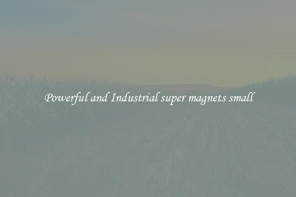 Powerful and Industrial super magnets small