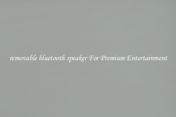 removable bluetooth speaker For Premium Entertainment