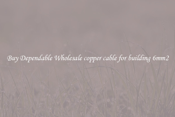 Buy Dependable Wholesale copper cable for building 6mm2