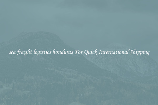 sea freight logistics honduras For Quick International Shipping