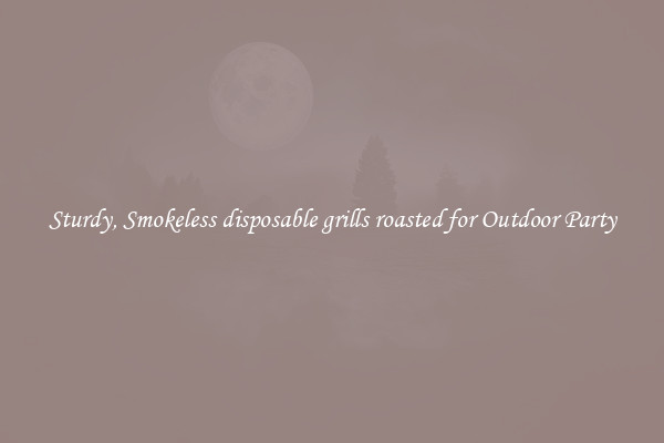 Sturdy, Smokeless disposable grills roasted for Outdoor Party