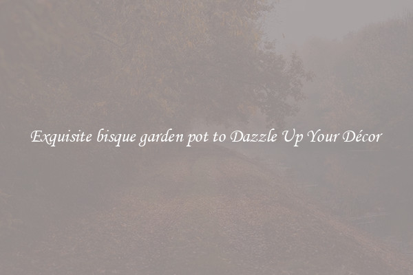 Exquisite bisque garden pot to Dazzle Up Your Décor 