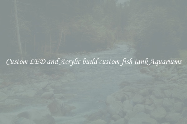 Custom LED and Acrylic build custom fish tank Aquariums
