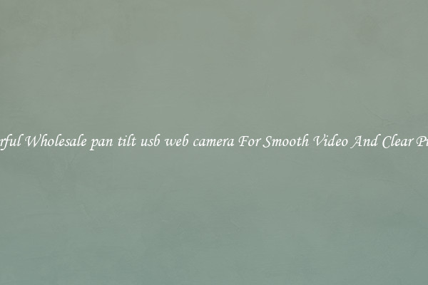 Powerful Wholesale pan tilt usb web camera For Smooth Video And Clear Pictures