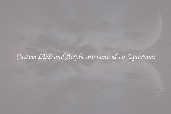 Custom LED and Acrylic arowana & co Aquariums