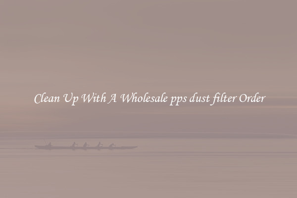 Clean Up With A Wholesale pps dust filter Order
