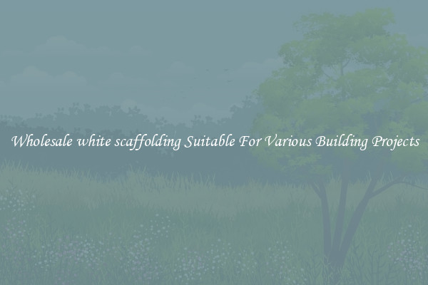 Wholesale white scaffolding Suitable For Various Building Projects