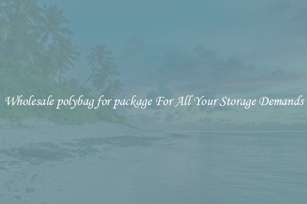 Wholesale polybag for package For All Your Storage Demands