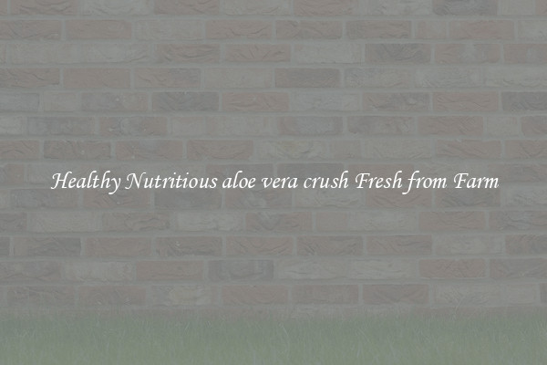 Healthy Nutritious aloe vera crush Fresh from Farm