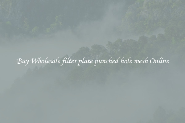 Buy Wholesale filter plate punched hole mesh Online