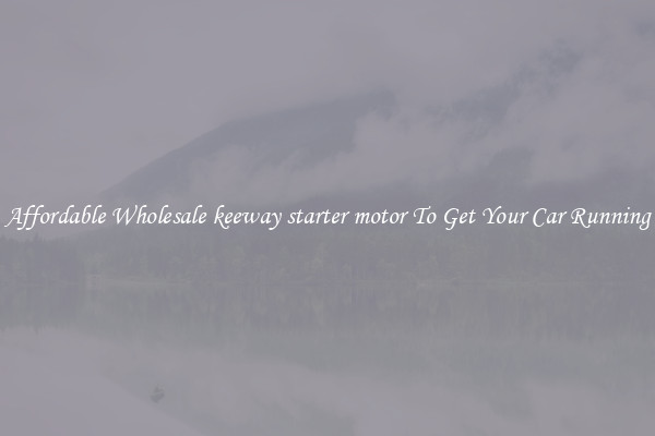Affordable Wholesale keeway starter motor To Get Your Car Running